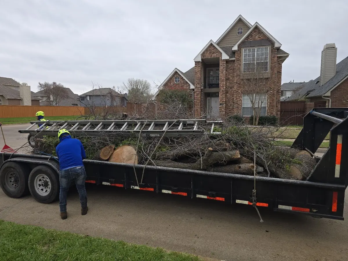 Expert Tree Fertilization with proper safety equipment in Maben